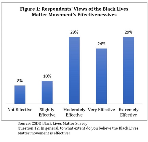 Respondents' Views of the Black Lives Matter Movement's Effectivenessives
